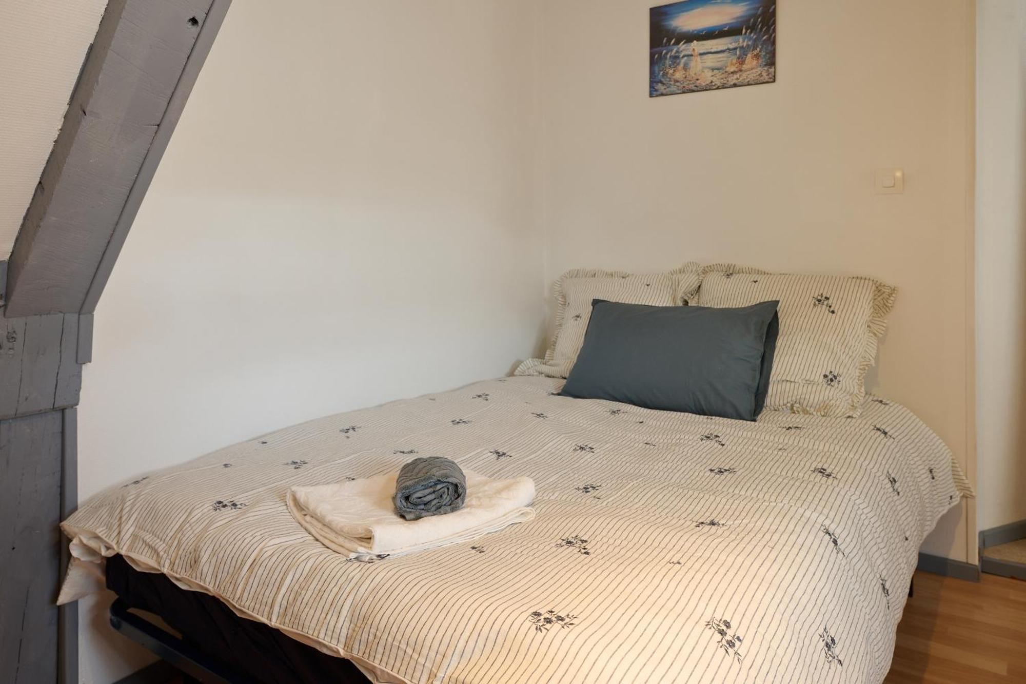 Appartement De Caractere, Charme Nevers Eksteriør billede